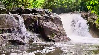 Serene Escapes: A Nature Lover's Paradise #travel