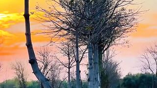 Punjab