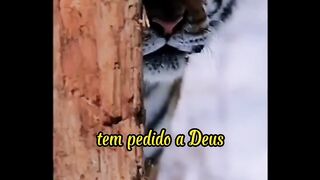 #5Nãodesita❤️????