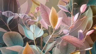 mobile wallpapers 4k - download for free 2024