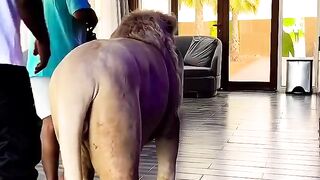 Amazing video