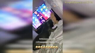 The Insane Plot Armor of Cats