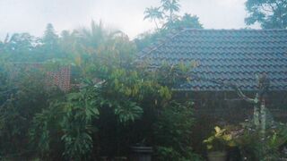 The rain