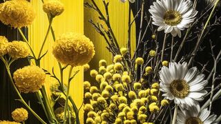mobile wallpapers 4k - download for free 2024