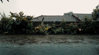Rain, i hate u