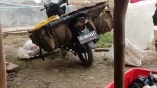 Memberi lebih atau bonus ke pembeli bibit lele tidak akan membuatmu BANGKRUT❗Percayalah