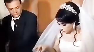 نهار الأول يموت القط