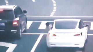 نجاة طفلة من فضل الله