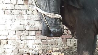 Yaar karde subscribe