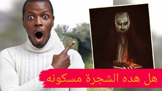 شجرة تتحرك بشكل غريب
