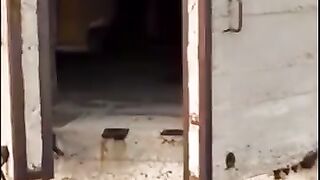 why is a door open there??
