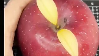 Beautiful flowers making
