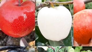 Apple different color