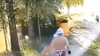 الرفق بالحيوانات