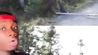 Why Moose are the Greatest Threat to National Security