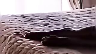Hareem Shah leak video don't miss end