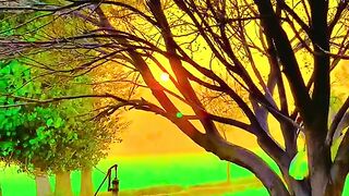 Sunset in village