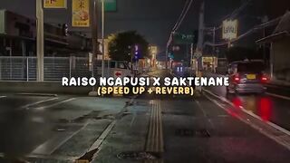 Raiso Ngapusi x Saktenane Speed Up Reverb