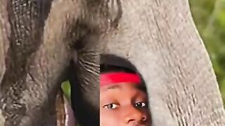 Why This Elephant Probably Wants You Dead