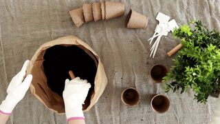 Planting