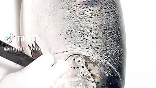 Proses ikan salmon