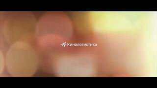 Лето во Франции — Русский трейлер (2024)