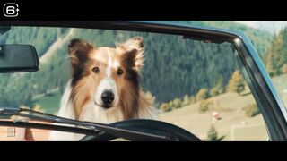Лесси – лохматый детектив — Русский трейлер