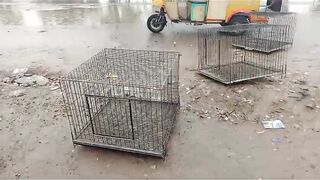 The cages of ages