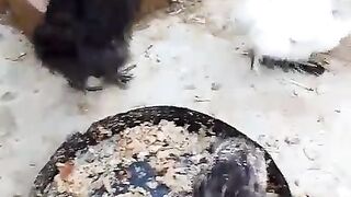 The big floods