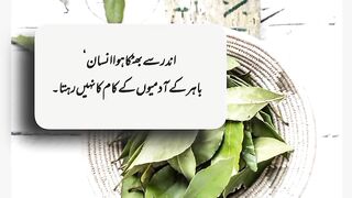 Urdu beautiful quotes