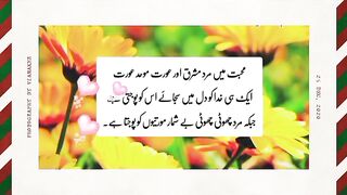 beautiful urdu quotes