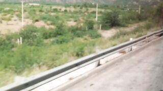 Bus journey