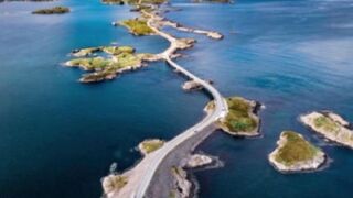 Samudra Atlantik Rumah bagi berbagai spesies hewan laut.