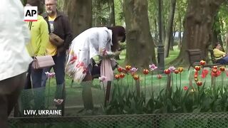 Netherlands gifts the Ukrainian city of Lviv 100,000 tulips.