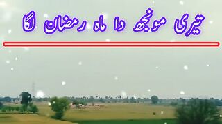 جیہڑی روح کوں آصف روزے ہن اوہا عید نماز توں رہ گئی اے