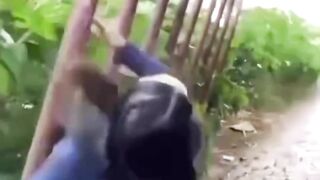 Girl funny video | comedy video | entertainment video