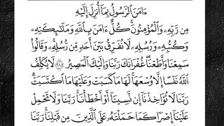 Quran shorts