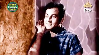 Tumhi Ho Mehboob Meray - Color Version