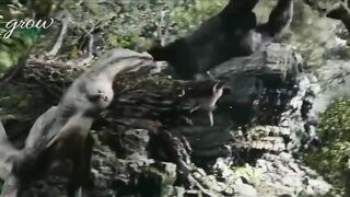 Playing with his little boy