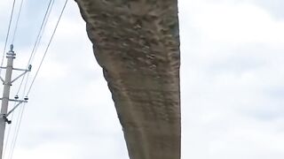 पवन चक्की के पंखों को कैसे लगाया जाता है_ _ Windmill _.
