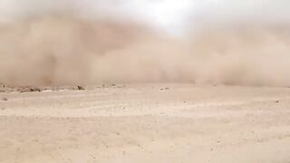 تين زاوتين 3