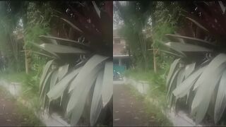 VR SBS Walker Music (Mixdut15)