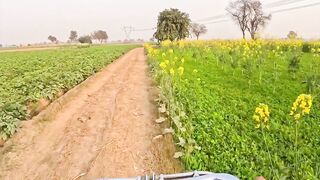 Village life