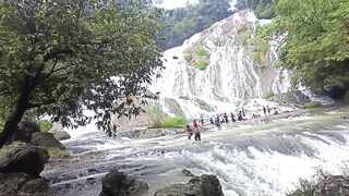Waterfall in foresf