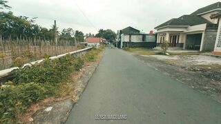 Vlogs