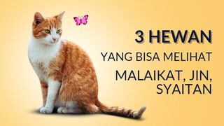 3 hewan yang bisa melihat malaikat, jin, syaitan