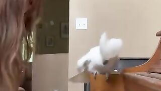I Can't With These Pets!!???? ???? #funny #dogs #pets #funnypets #afv #shorts.