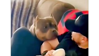 Funny video 2024 best video