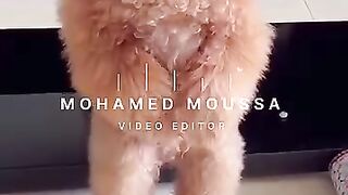 الجرو