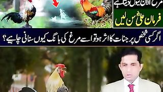 Why is Jannat always afraid of the chicken?